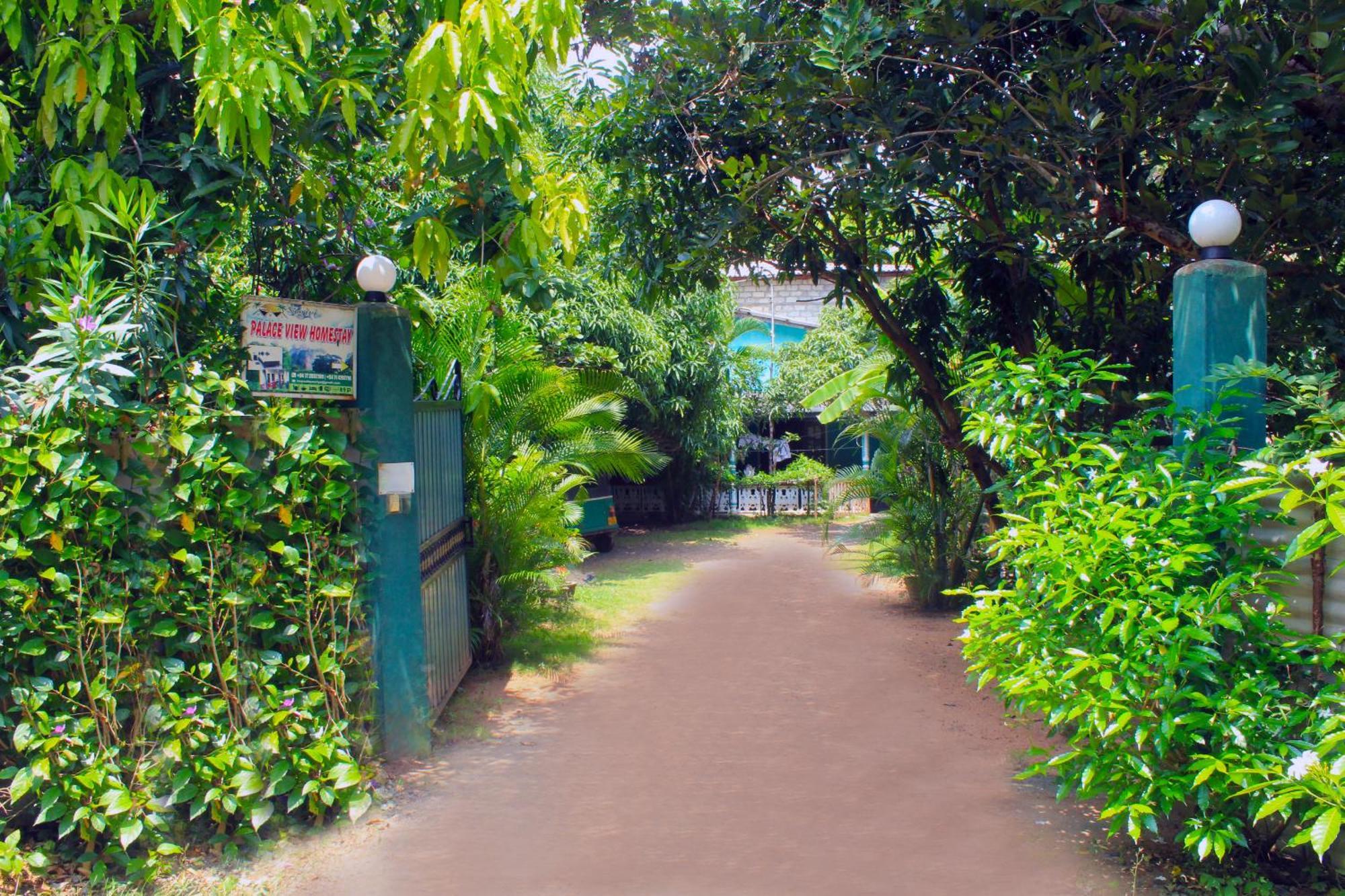 Sigiriya Palace View מראה חיצוני תמונה
